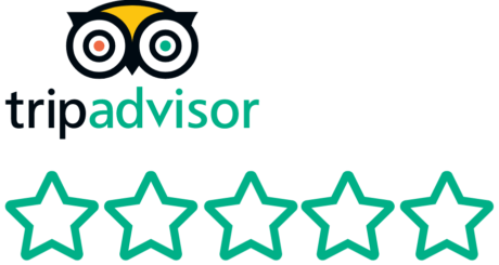 review-us-on-tripadvisor Write a review on TripAdvisor