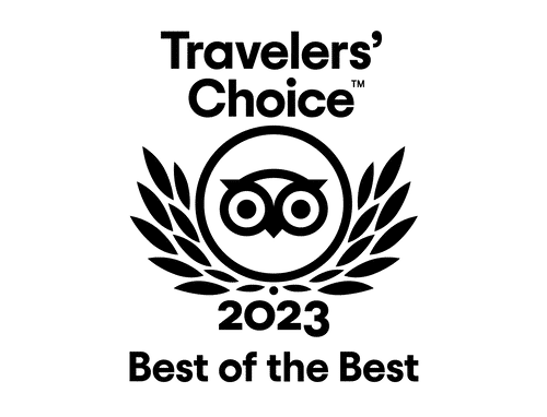 tripadvisor traveler's choice 2021